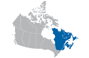 Image of Eastern Canada Regional Map